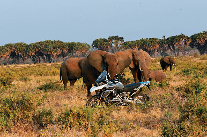 2013 BMW R1200GS (13)