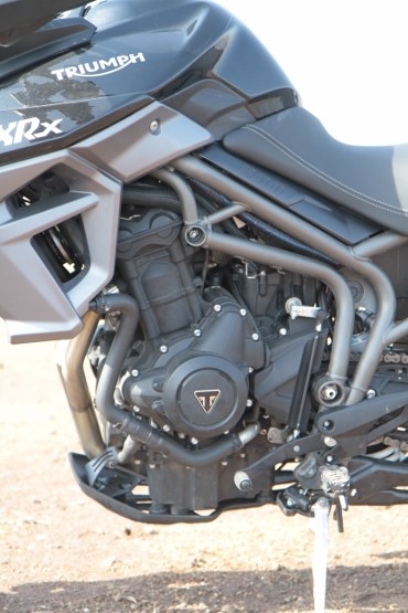 Triumph Tiger XRx (16) (555x370)