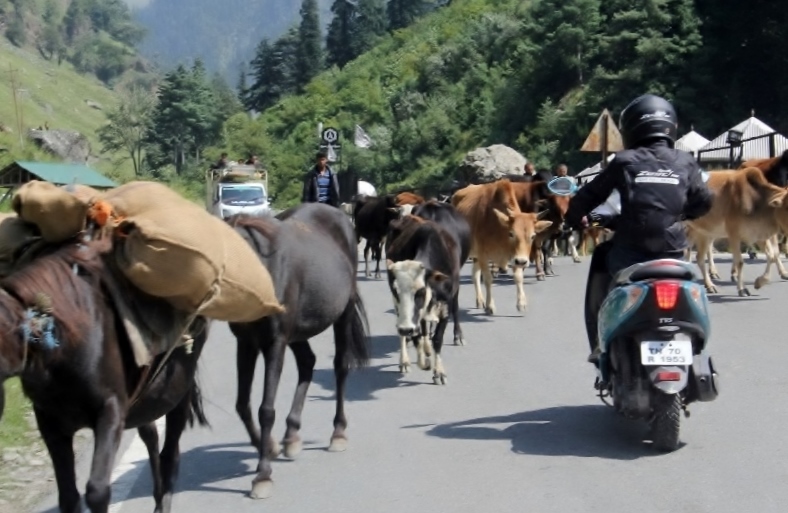 Anam Hashim and the TVS Scooty Zest 110 in Ladakh (10)