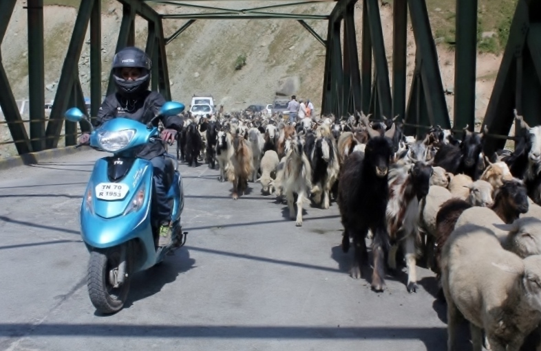 Anam Hashim and the TVS Scooty Zest 110 in Ladakh (12)