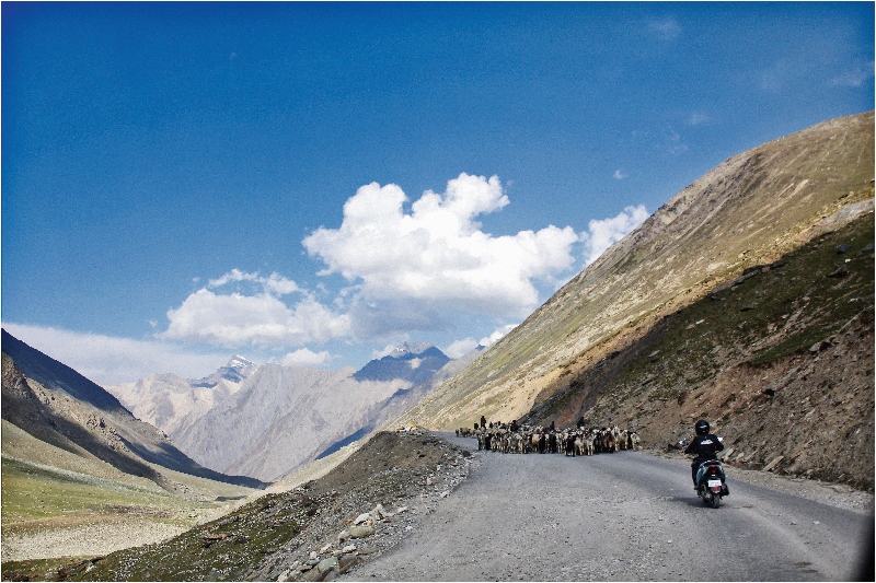Top of the World_TVS Scooty Zest 110 and Anam Hashim go to Khardung La_Feature (7)