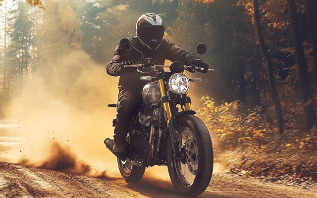 Royal Enfield Bear 650 Makes Global Debut